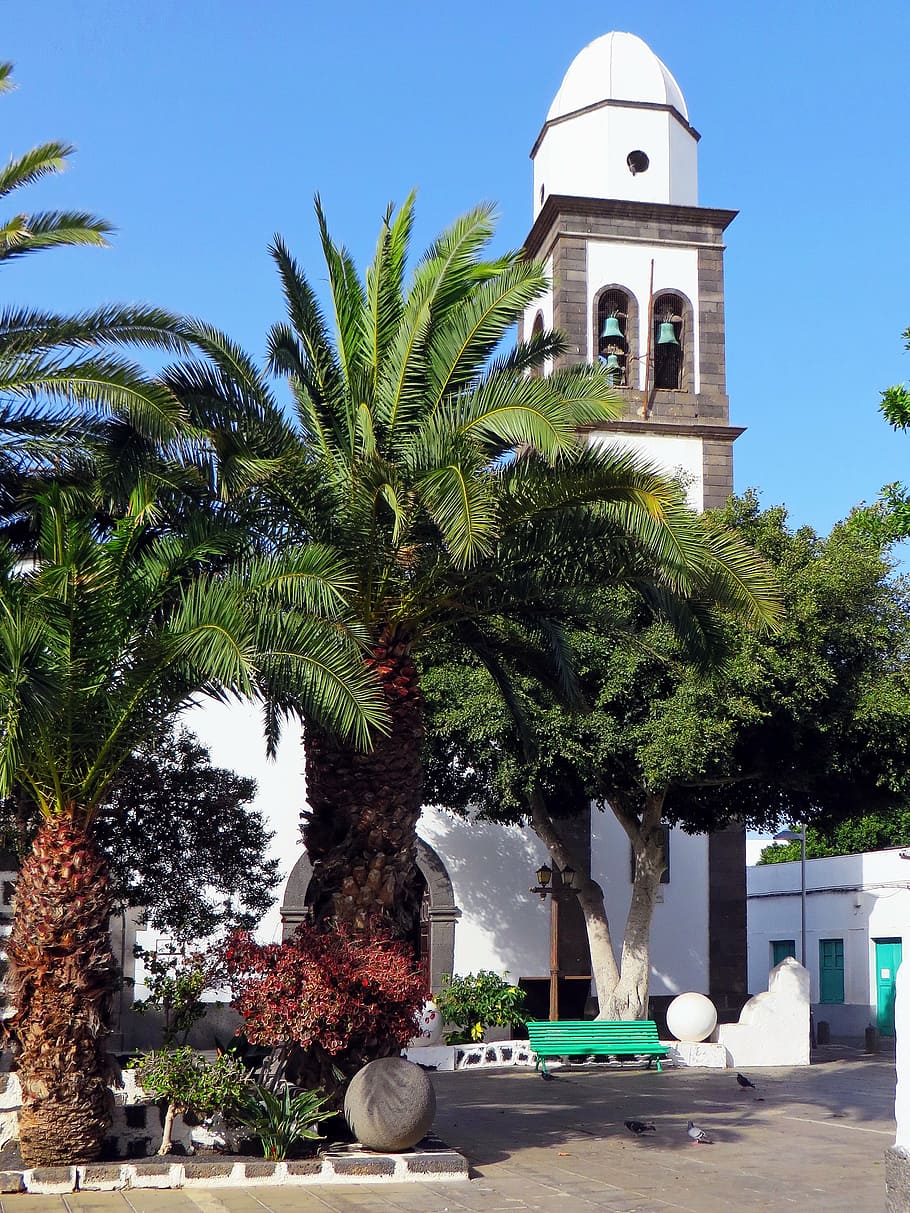 spain, canary, lanzarote, arrecife, church, place, parvis, palm HD wallpaper