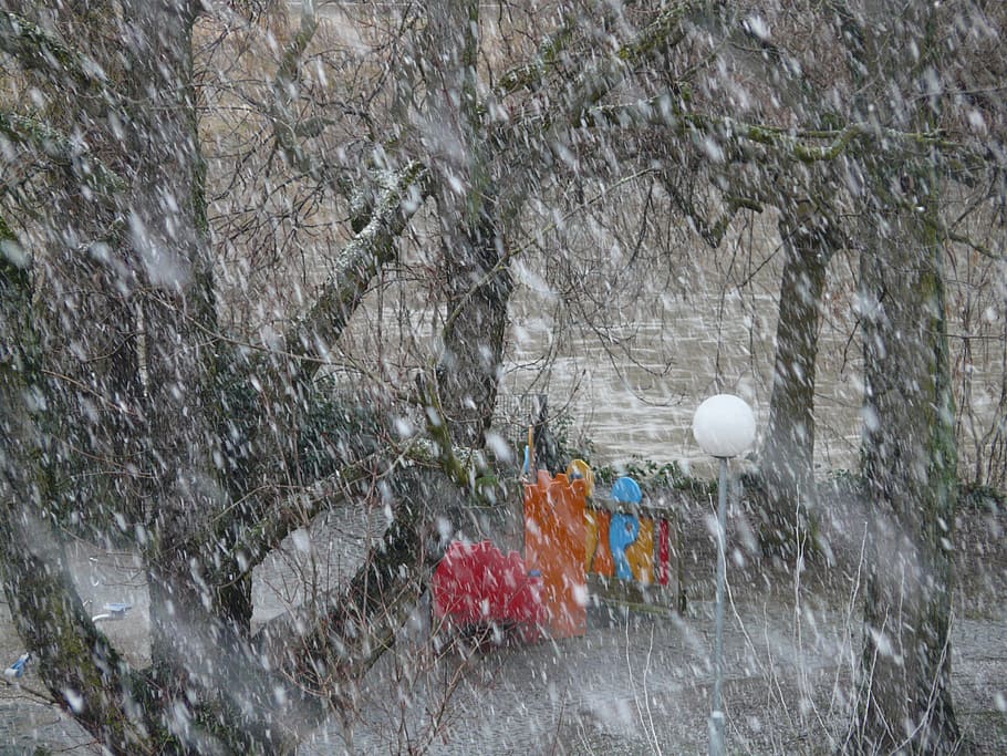 Snowfall, Snowflakes, Blizzard, winter, winter dream, cold HD wallpaper