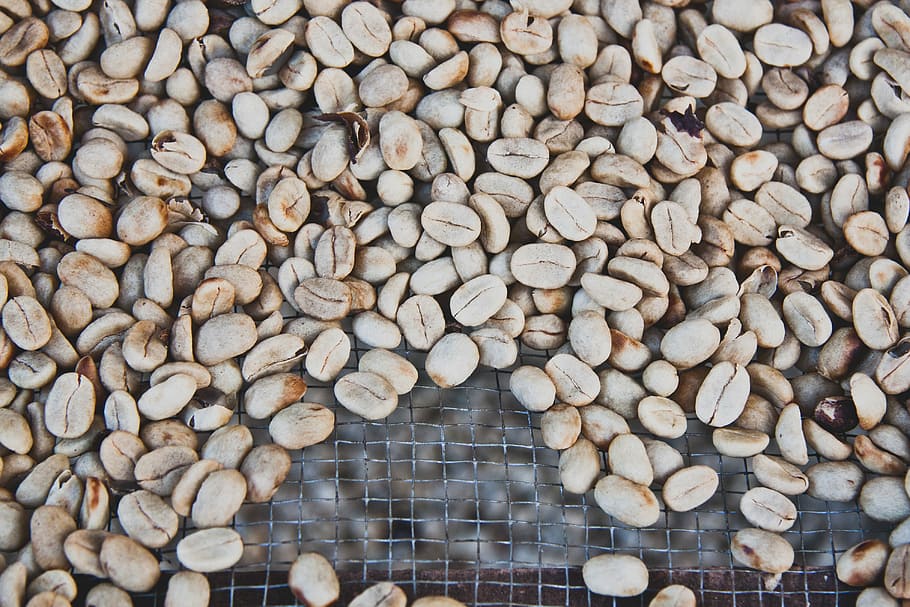 bunch of nuts, fill the frame photography of cowries, bean, coffee HD wallpaper