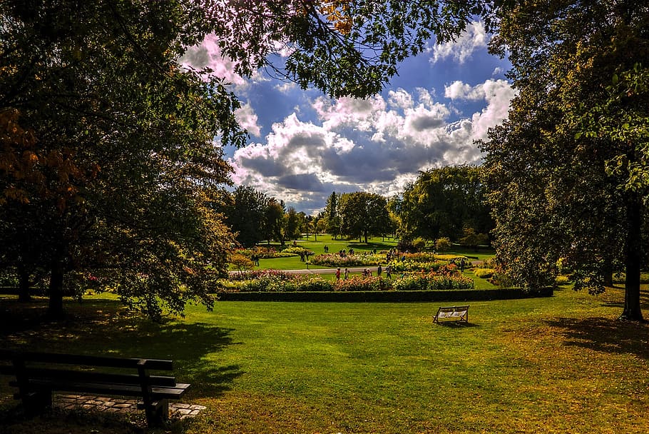 nature, landscape, meadow, trees, plant, bench, sky, tranquility HD wallpaper