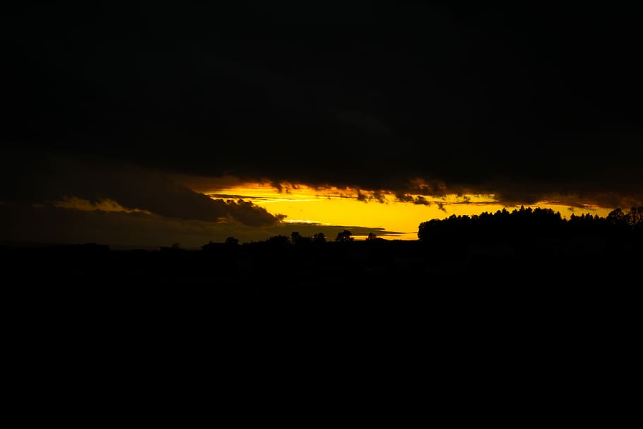 Sunset, silhouette of trees during golden hour, night, sky, dark HD wallpaper