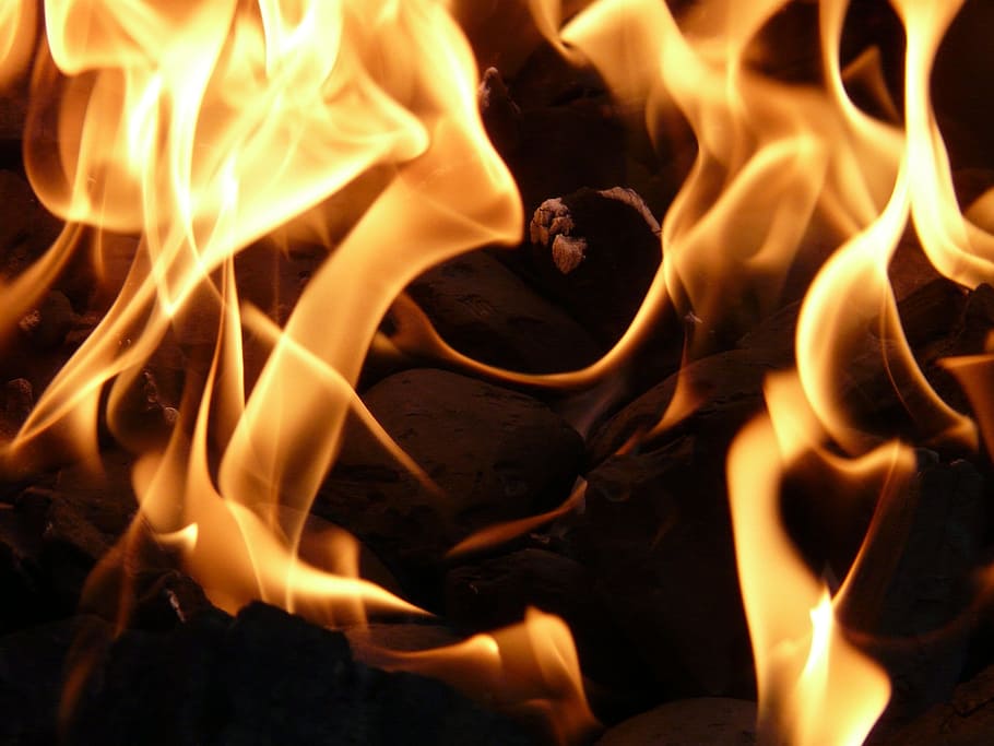 flame on stones, fire, barbecue, charcoal, carbon, hot, burn HD wallpaper