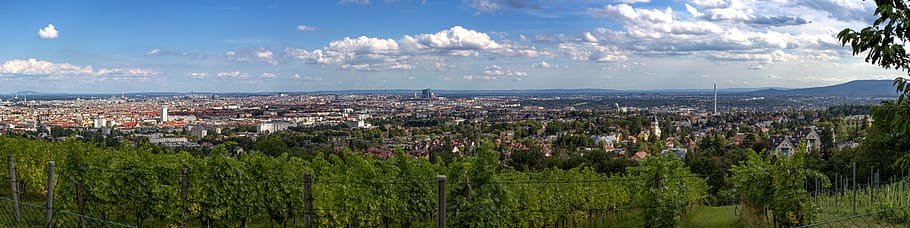 landscape view of an island, vienna, panorama, vineyard, austria