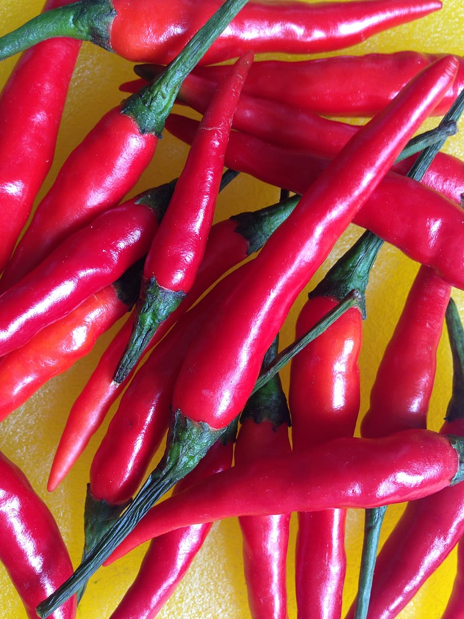 chili, red, sharp, eat, spice, pods, capsicum, pepperoni, food HD wallpaper