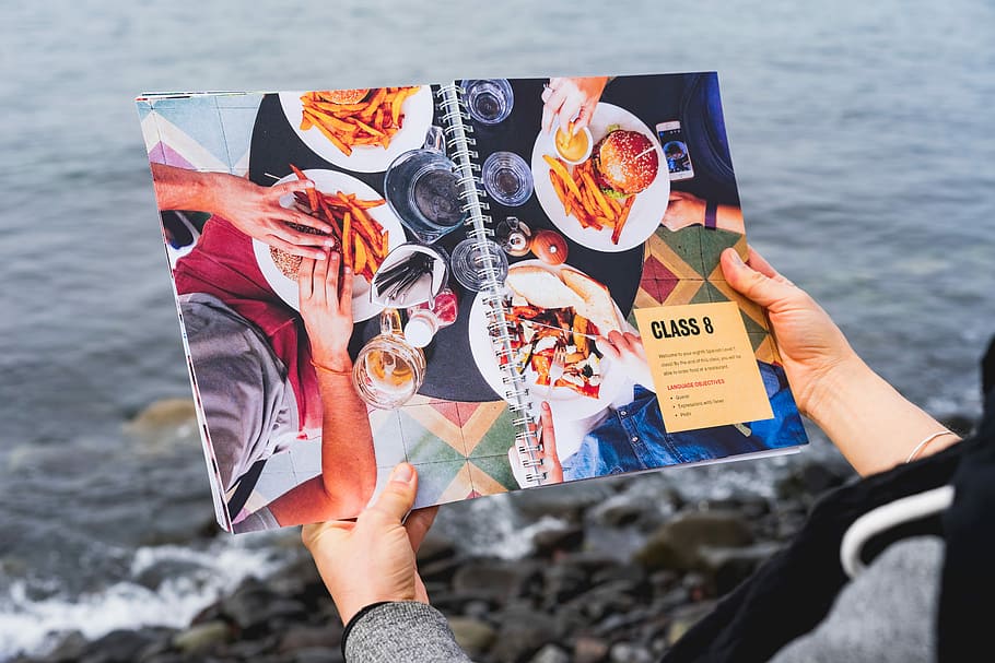 multicolored Class 8 book, person reading cookbook in front of body of water HD wallpaper