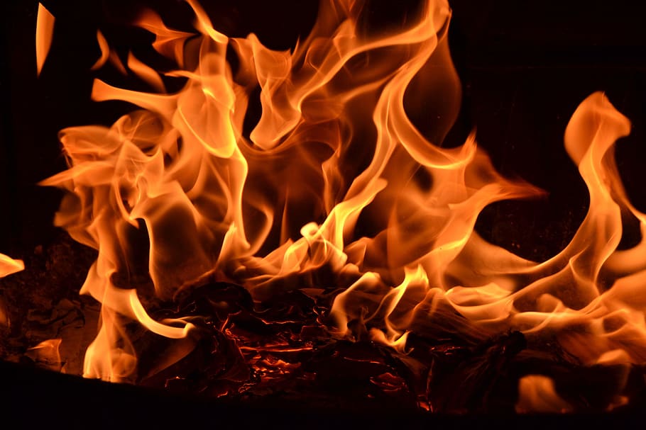 orange flames, inflamed, fire, fire - Natural Phenomenon, heat - Temperature HD wallpaper