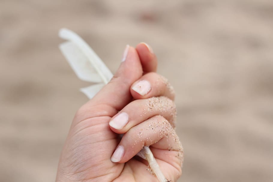 person holding white feather, shallow focus photography of hand holding white feather, HD wallpaper