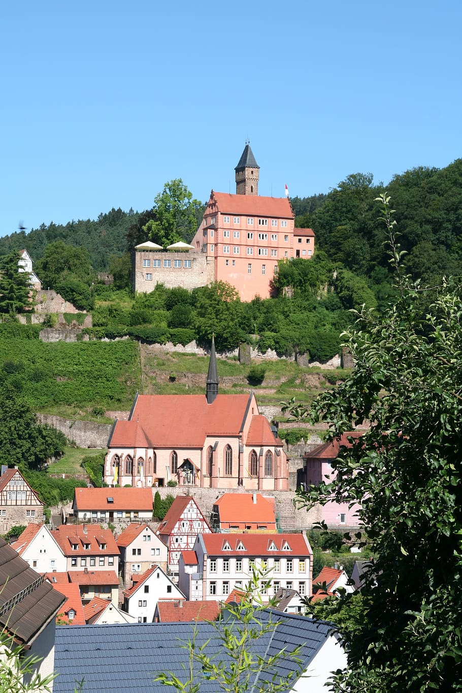Hirschhorn, Neckar, Castle, tree, house, building exterior HD wallpaper