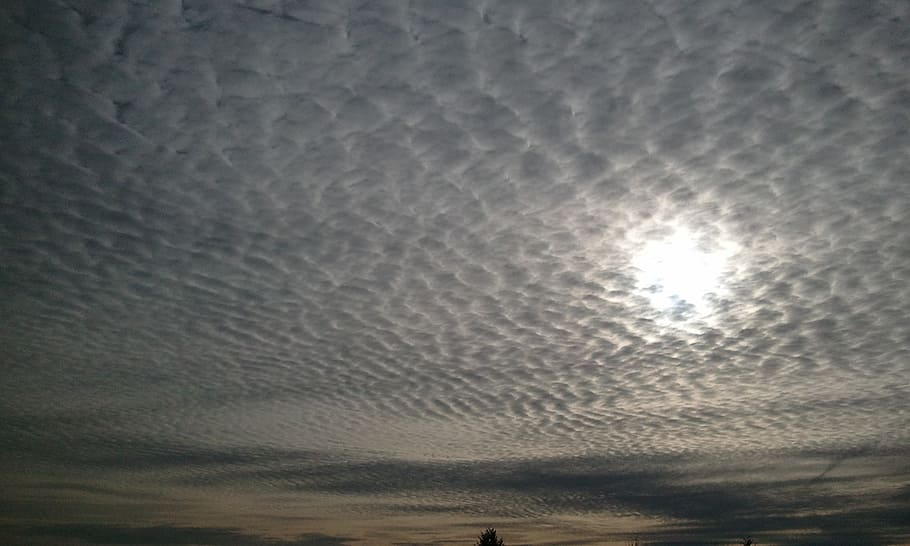 clouds, cloudy, sky, white, grey, cloudscape, sunlight, bright HD wallpaper