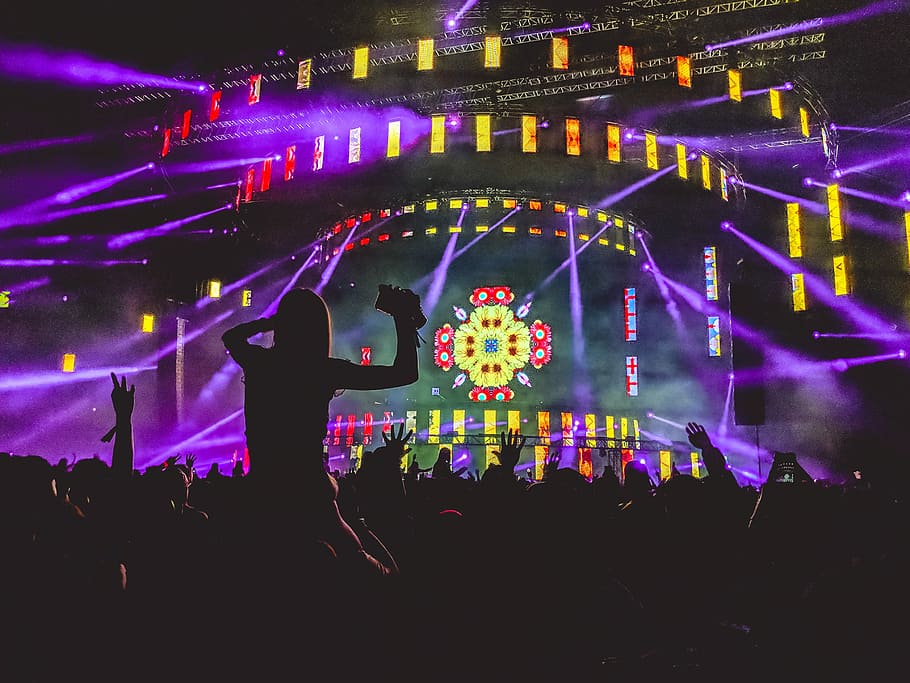 crowd in front of stage, silhouette photo of group of people with purple lights HD wallpaper