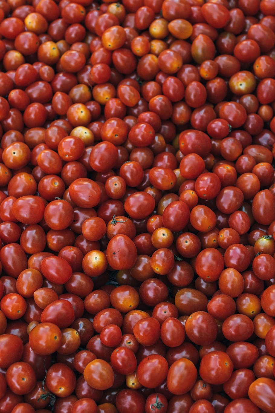 bunch of round red fruit, tomato fruits, vegetable, cherry, food HD wallpaper