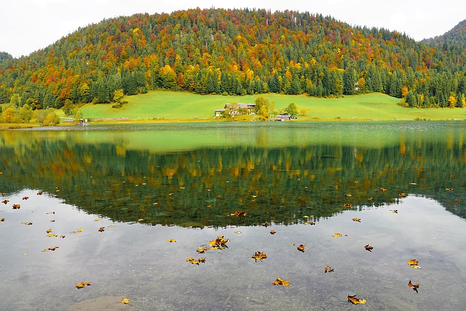 ellmau, scheffau, austria, lake, landscape, nature, mountains