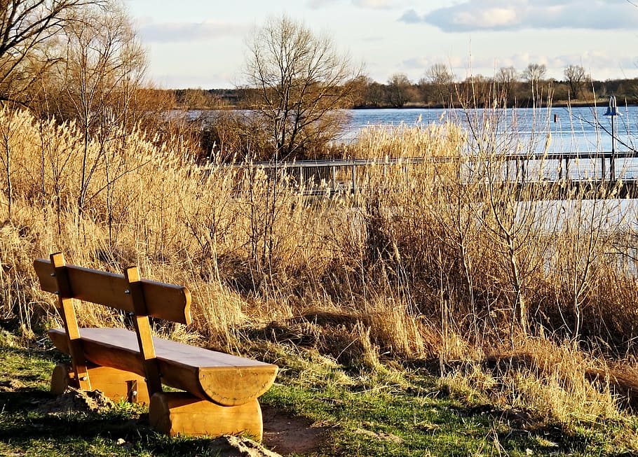 nature, elbe, river, river landscape, natural, same trail, wooden bench, HD wallpaper