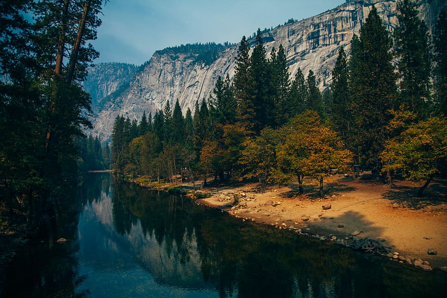 mountain and forest near body of water, forest and body of water photo HD wallpaper