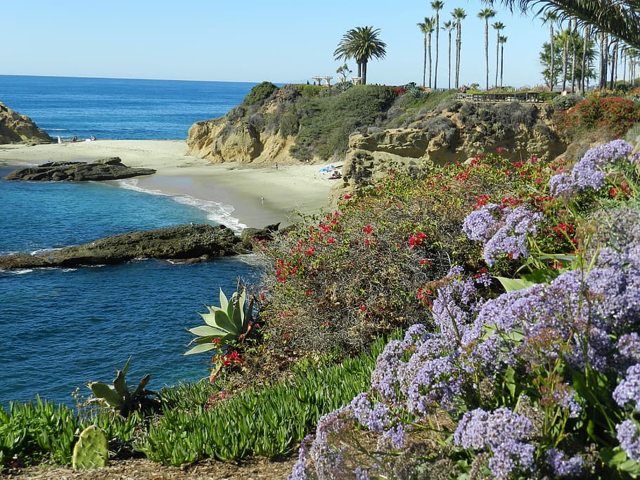 Ocean, Laguna Beach, California, sea, nature, rock - object, HD wallpaper
