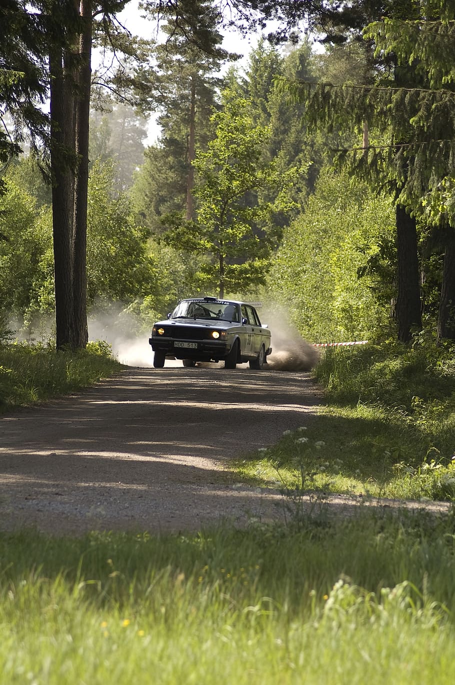 rally, forest, driving, car, gravel, plant, mode of transportation HD wallpaper