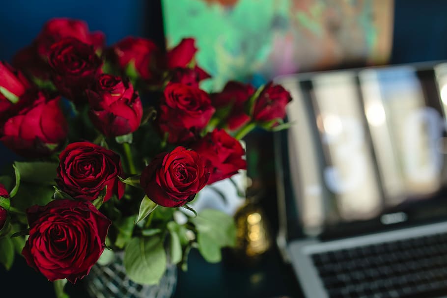 Hd Wallpaper Office Desk Table With Red Roses Female Flowers