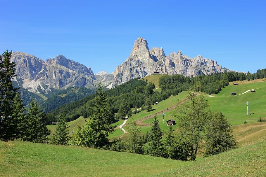 mountain near forest, nature, landscape, tree, panorama, wood HD wallpaper