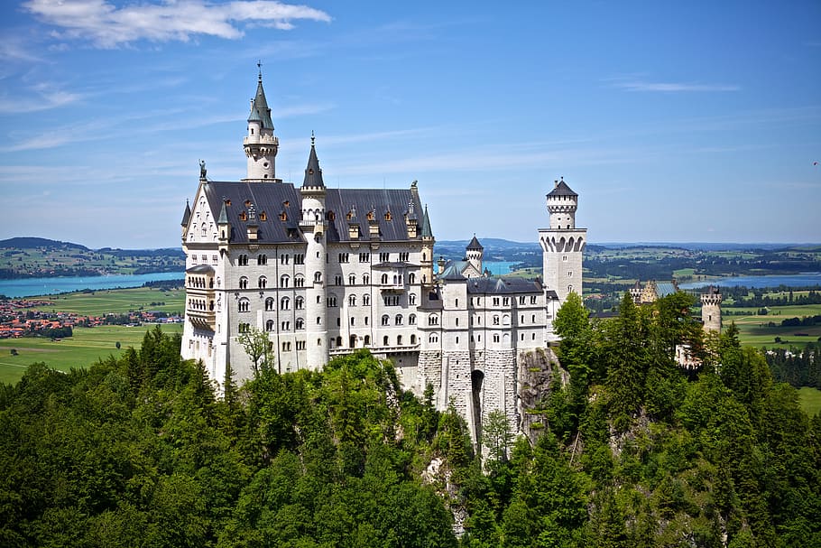 White and Gray Castle on Forest, architecture, building, germany HD wallpaper