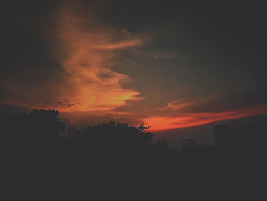 silhouette of trees during dawn, Lost, Village, sunset, nature HD wallpaper