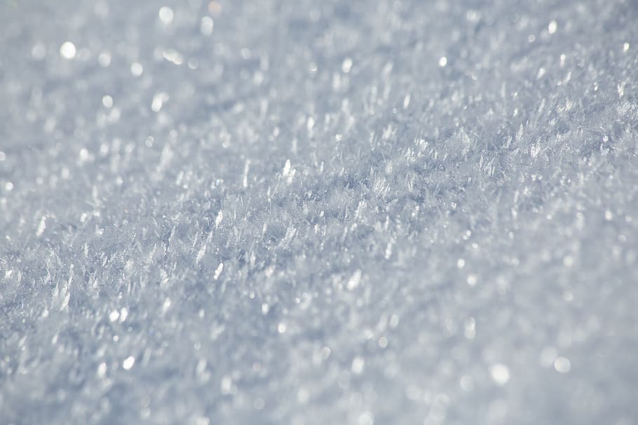 selective focus photography of water droplets, snow, texture HD wallpaper