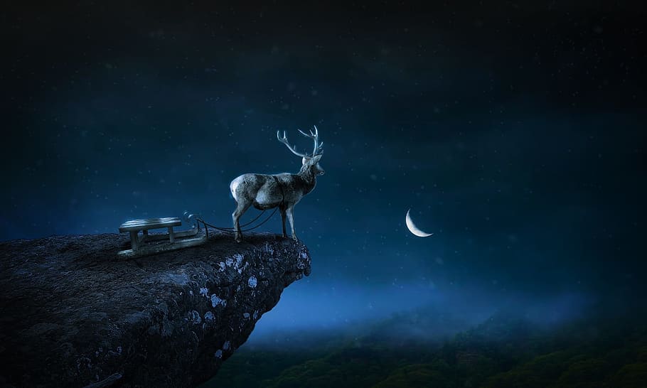 deer on top of mountain illustration, evening, nature, photoshop, HD wallpaper