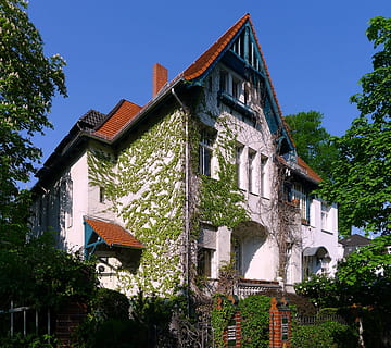 House, Ivy, Sky, Clouds, Architecture, home, beautiful, trees HD wallpaper