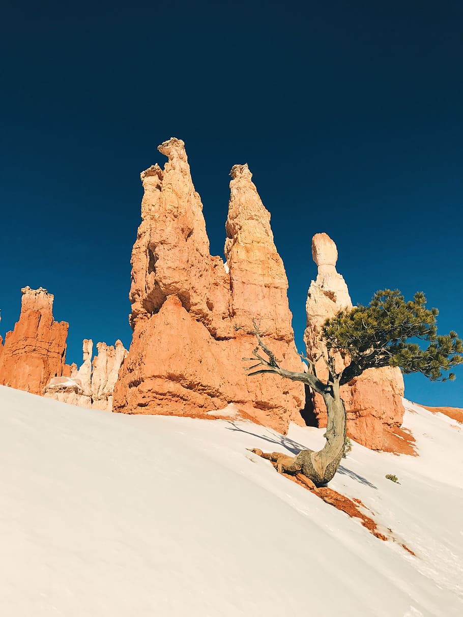 low angle photo of brown cliff and tree, green tree near brown rock formation during daytime HD wallpaper