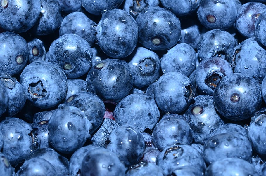 blueberry lot, close up photo of blueberries, fruit, ingredient HD wallpaper