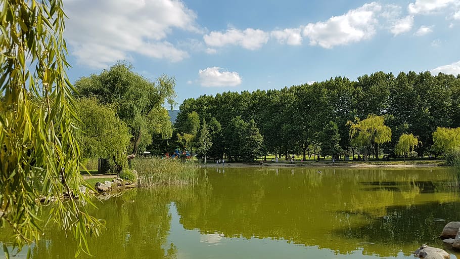 lake, landscape, tree, clouds, turkey, green, light, reflection HD wallpaper