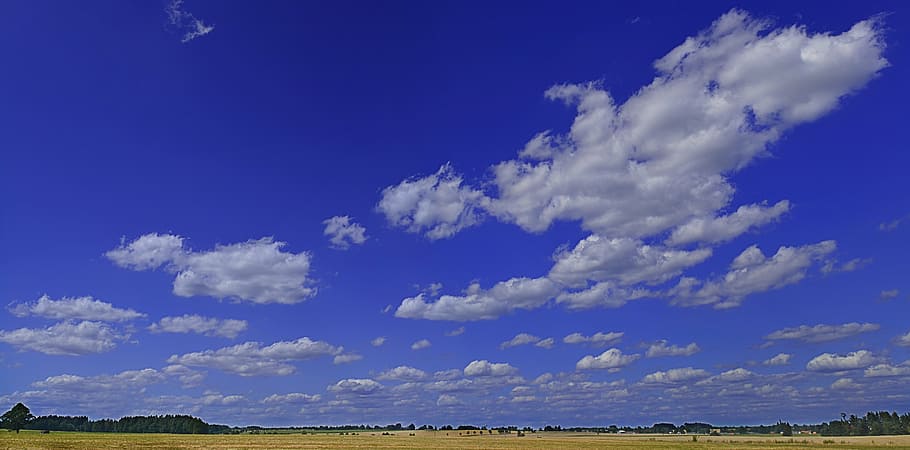 heaven, sky, clouds, blue, landscape, field, cloud - sky, environment HD wallpaper