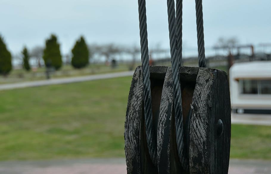 rope, aging, focus on foreground, day, plant, nature, tree HD wallpaper