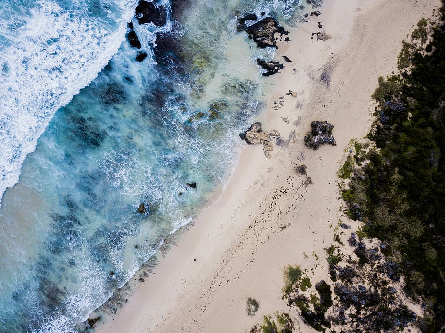 coastline near green trees, aerial photograph of sea and sand HD wallpaper