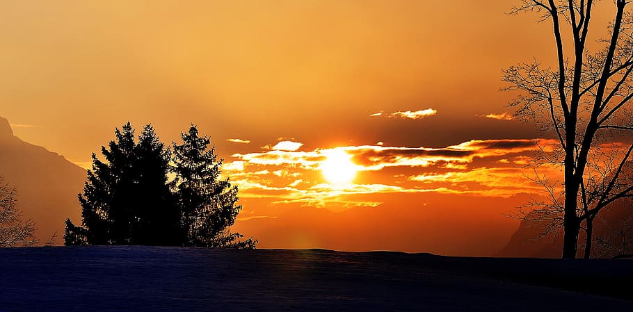 sunrise, sunlight, sky, morgenstimmung, skies, lighting, trees HD wallpaper