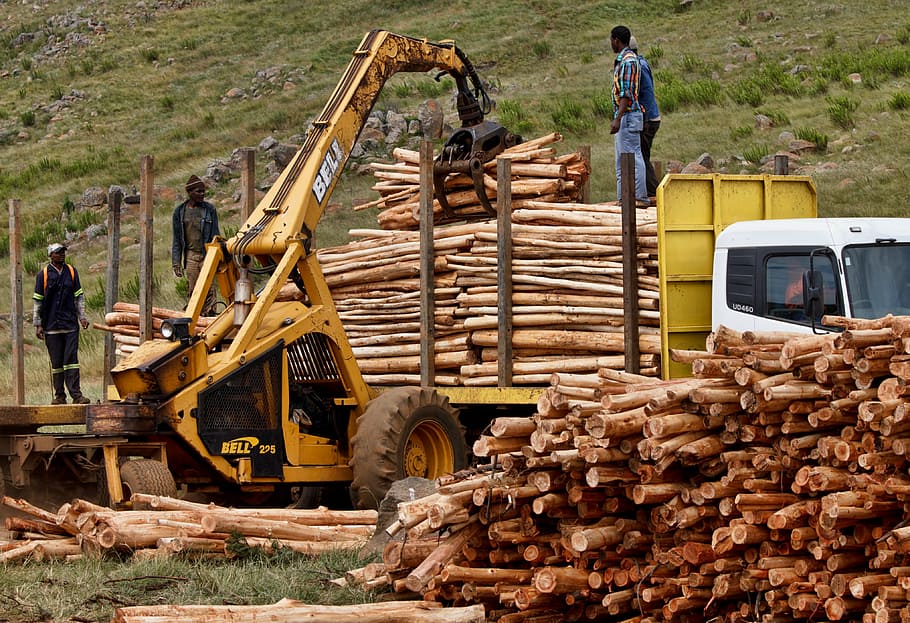 job, work, logging, timber, wood, lumber, worker, loading, workman HD wallpaper