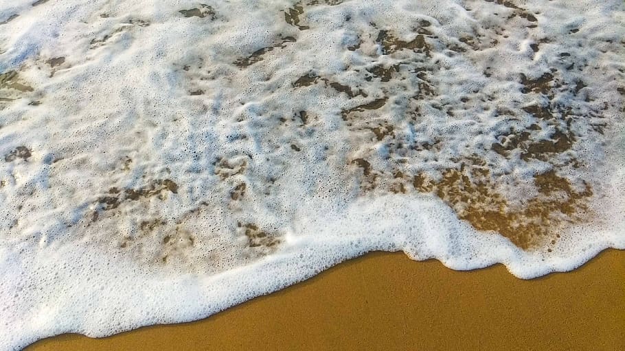 sea, waves, foam, aquatic sport, surfing, beach, land, sand HD wallpaper
