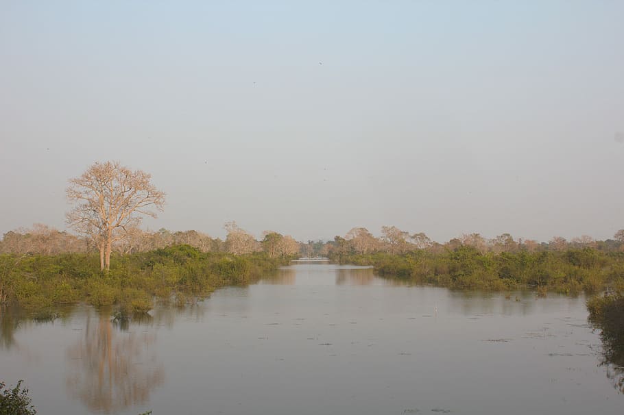 River, Stream, Lake, Water, Angkor, peaceful, tranquil, serene HD wallpaper