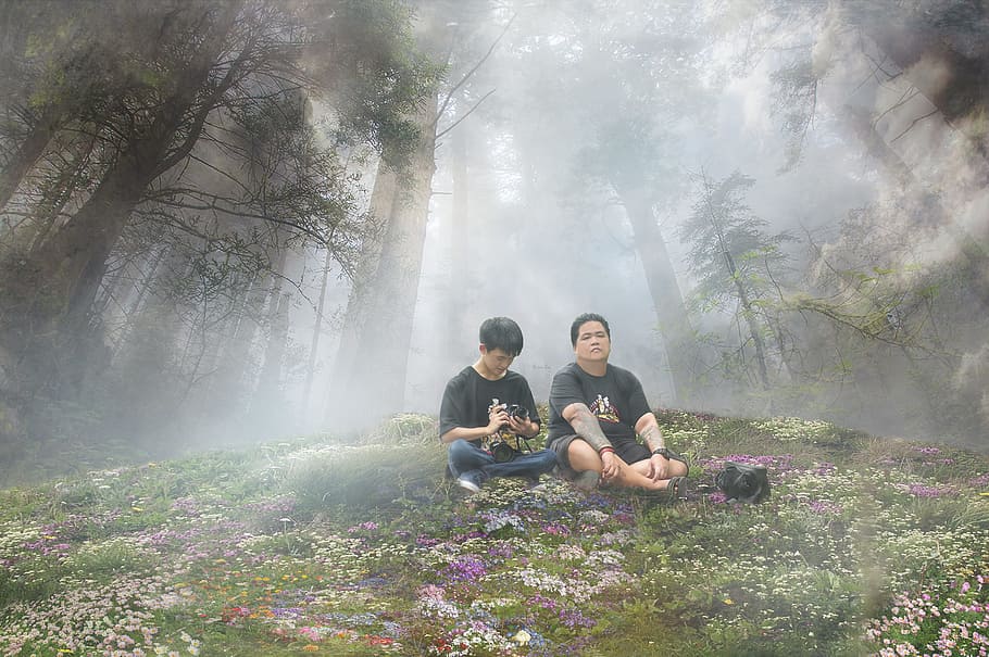 visual, brothers, manipulation, forest, fog, misty, cool, temperate HD wallpaper