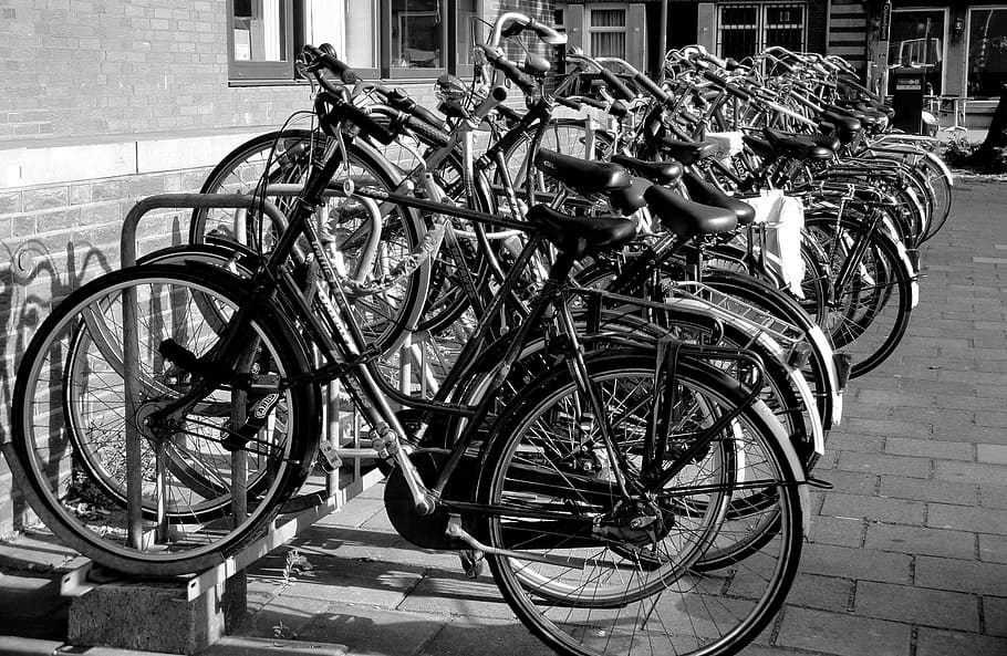 amsterdam, bicycles, school, netherlands, europe, tourism, city, HD wallpaper