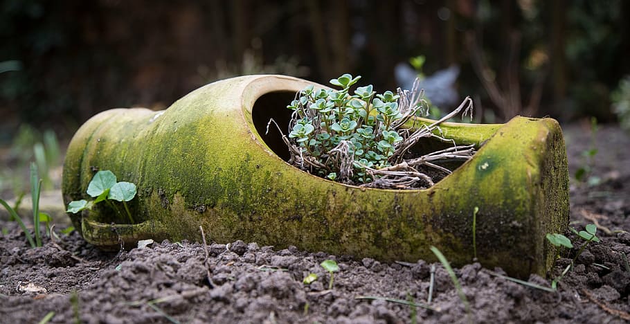 vase, old, garden, deco, antique, decoration old, flowerpot HD wallpaper