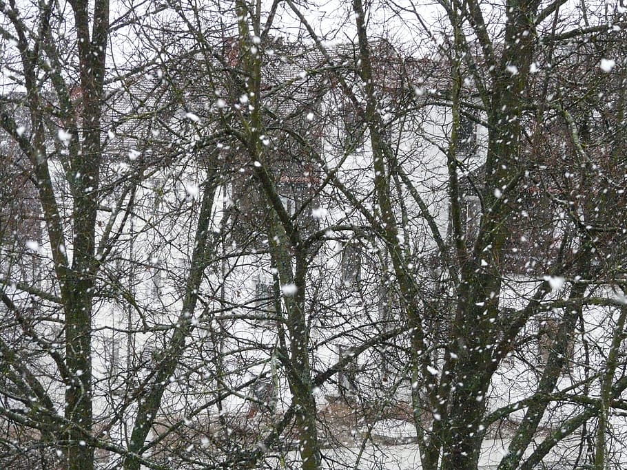 snowfall, snowflakes, blizzard, winter, winter dream, cold HD wallpaper