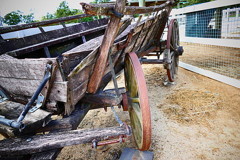 HD wallpaper: landscape photography of brown wooden horse carriage