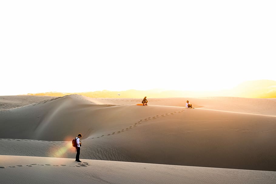 three men on desert under clear blue sky during daytime, three person walking on desert HD wallpaper