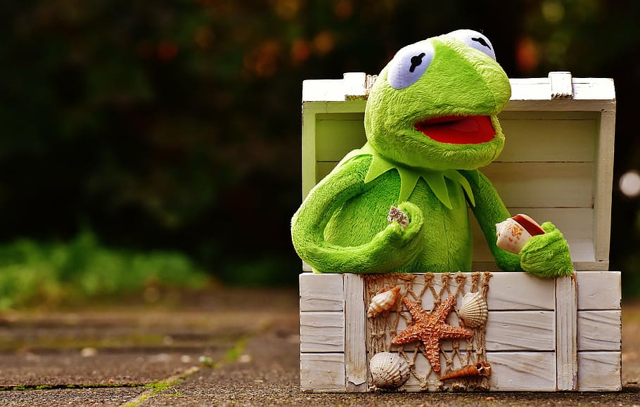 kermit, frog, chest, mussels, fishing net, toys, green, kermit frog, HD wallpaper