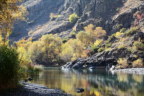 calm body of water near trees and mountain at daytime, turkey HD wallpaper