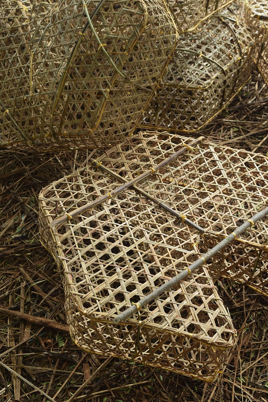 Fishing Nets, Crabs, Lobsters, fishing industry, no people HD wallpaper
