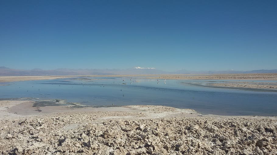 chile, laguna, volcano, nature, landscape, desert, lake, salt - Mineral HD wallpaper