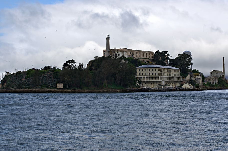 Alcatraz, Bird, Island, Prison, Ocean, tourism, san, francisco HD wallpaper
