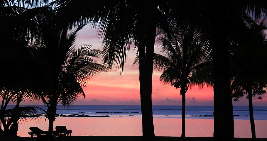 Sunset, Palms, Tropical, tree, palm tree, tree trunk, sea, water HD wallpaper
