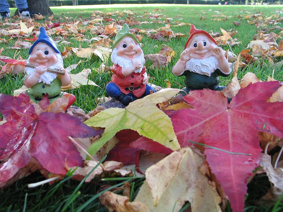 leaves, gnome, dwarf, nature, leaf, garden, decoration, color HD wallpaper